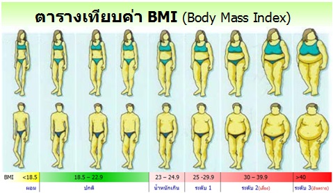 BMI ดัชนีมวลกาย ชี้วัดความอ้วนผอม